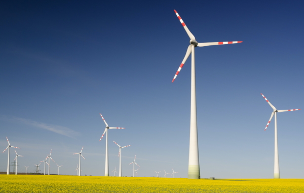 Il rincaro dell’energia e la transizione ecologica
