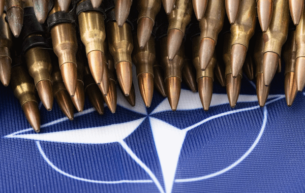 NATO Capability Targets: cosa sono?